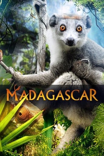 Movie poster for Madagascar 3D