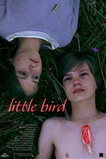 Movie poster for Little Bird