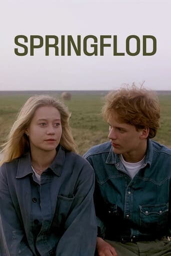 Movie poster for Spring Tide