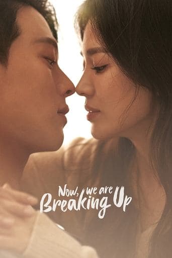 Movie poster for Now, We Are Breaking Up