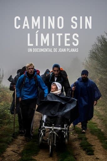 Movie poster for The Way Without Limits