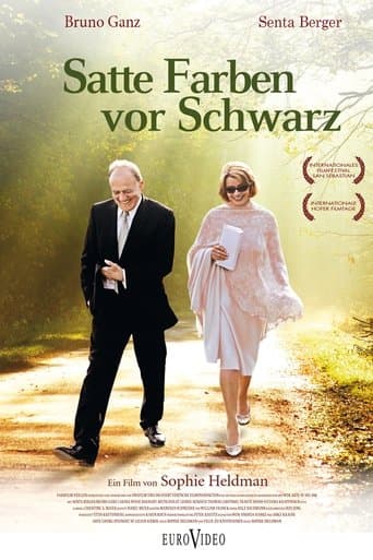 Movie poster for Colors in the Dark