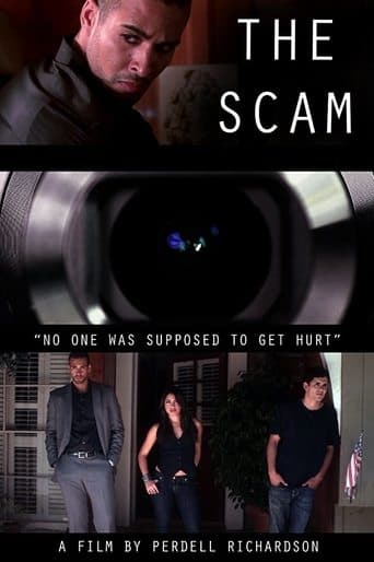 Movie poster for The Scam