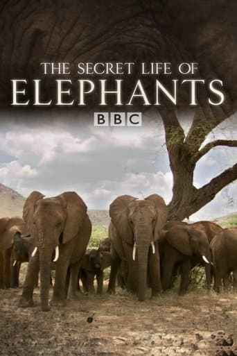 Movie poster for The Secret Life of Elephants