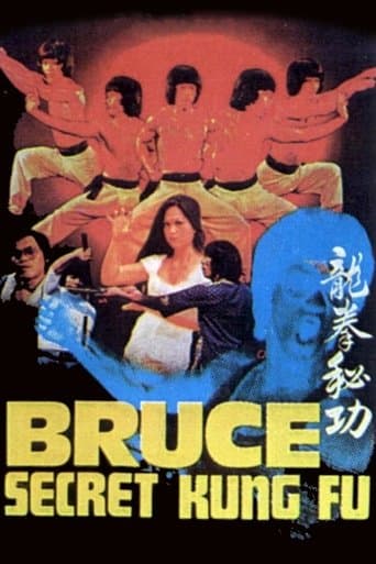 Movie poster for Bruce's Secret Kung Fu