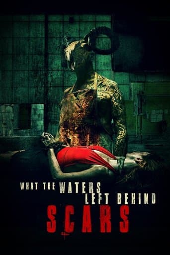 Movie poster for What the Waters Left Behind: Scars