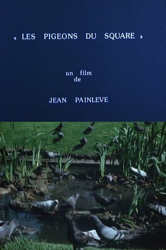 Movie poster for Pigeons in the Square