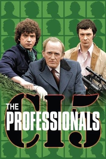Movie poster for The Professionals