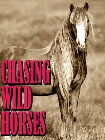 Movie poster for Chasing Wild Horses