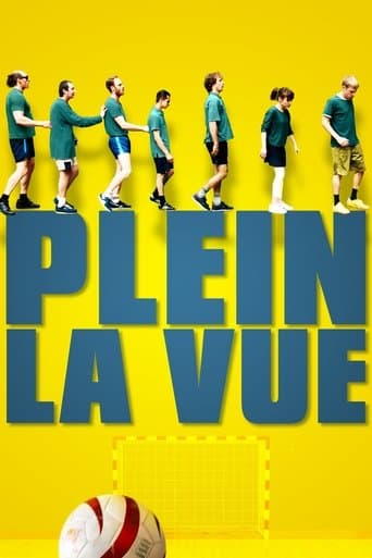 Movie poster for Plein la vue