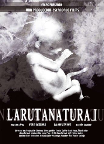 Movie poster for The Natural Route