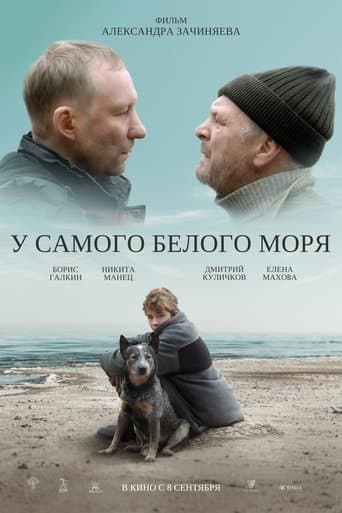 Movie poster for By The White Sea