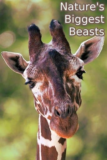 Movie poster for Nature's Biggest Beasts