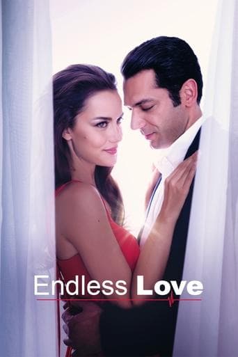 Movie poster for Endless Love