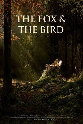 Movie poster for The Fox & the Bird