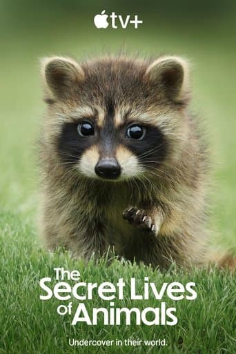 Movie poster for The Secret Lives of Animals