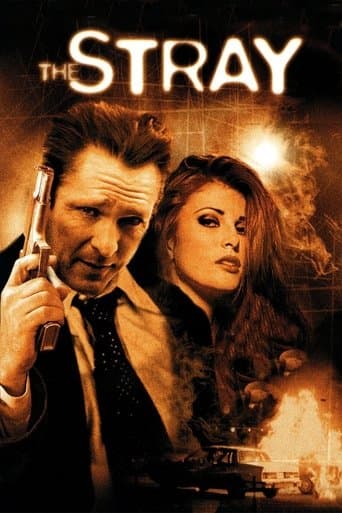 Movie poster for The Stray