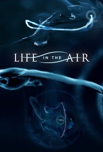 Movie poster for Life in the Air