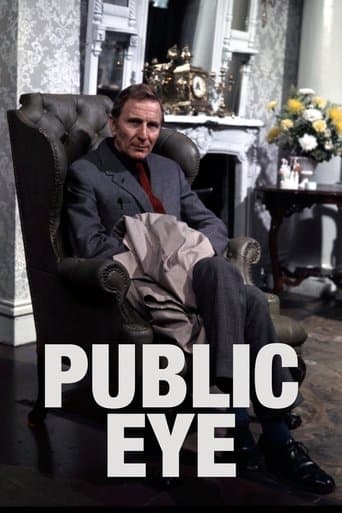 Movie poster for Public Eye