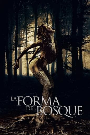 Movie poster for The Shape of the Woods