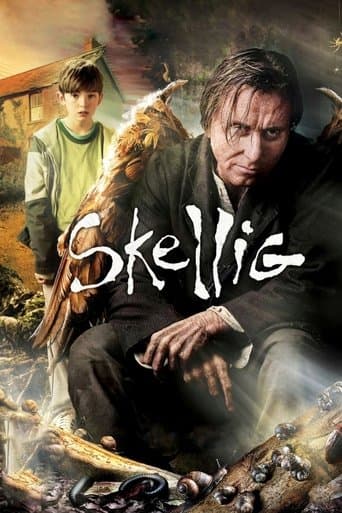 Movie poster for Skellig