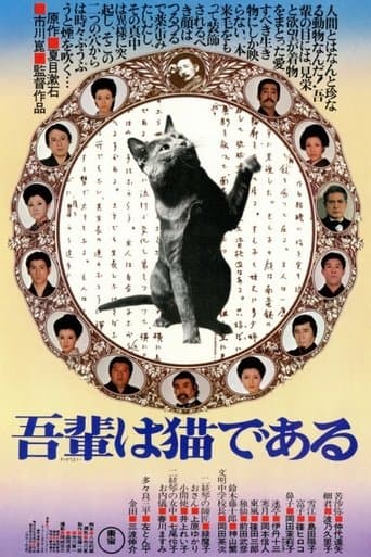 Movie poster for I Am a Cat