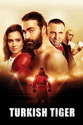 Movie poster for Turkish Tiger