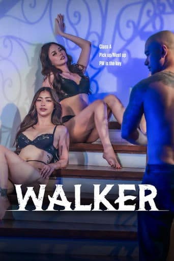 Movie poster for Walker