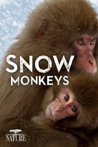 Movie poster for Wild Japan: Snow Monkeys