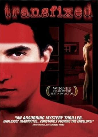 Movie poster for Transfixed