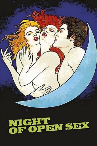 Movie poster for The Night Of Open Sex