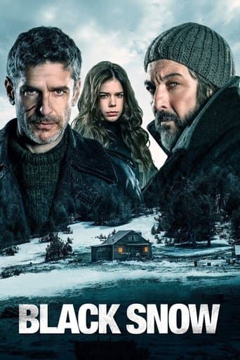Movie poster for Black Snow