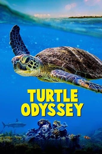 Movie poster for Turtle Odyssey