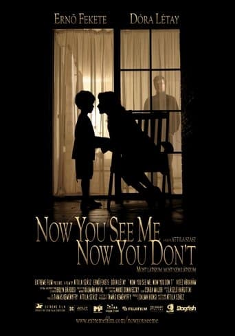 Movie poster for Now You See Me, Now You Don't