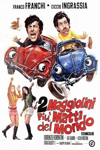 Movie poster for I due maggiolini più matti del mondo