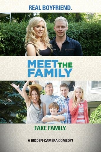 Movie poster for Meet the Family