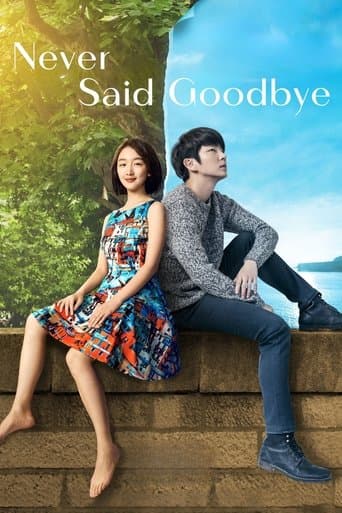 Movie poster for Never Said Goodbye