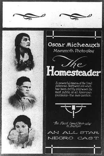 Movie poster for The Homesteader