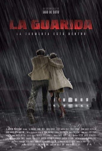 Movie poster for The Den