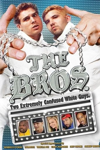 Movie poster for The Bros.