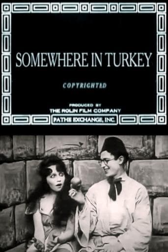 Movie poster for Somewhere in Turkey