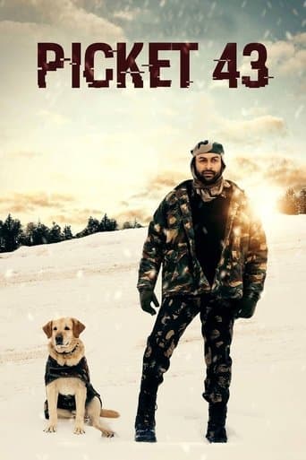 Movie poster for Picket 43