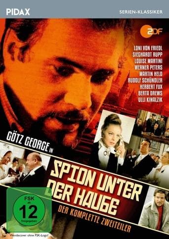 Movie poster for Spion unter der Haube
