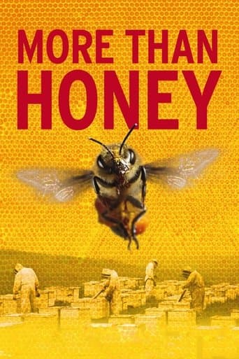 Movie poster for More Than Honey