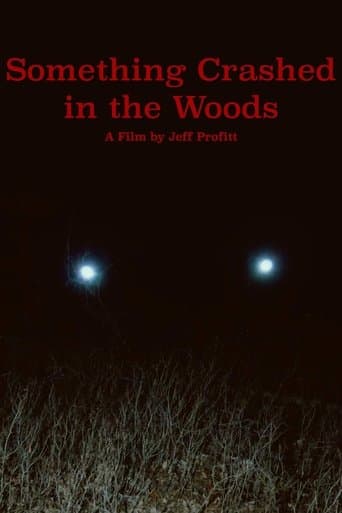 Movie poster for Something Crashed in the Woods