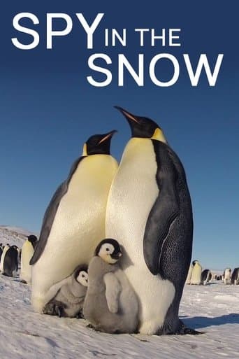Movie poster for Spy in the Snow