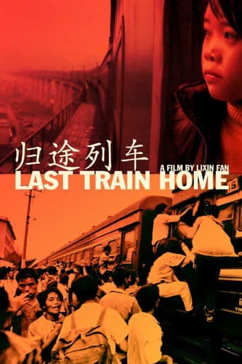 Movie poster for Last Train Home