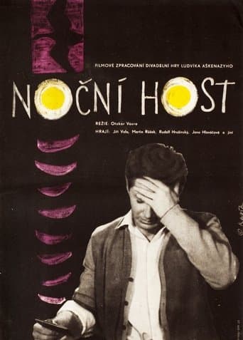 Movie poster for The Night Guest