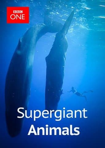 Movie poster for Supergiant Animals