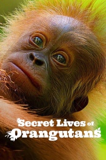 Movie poster for Secret Lives of Orangutans
